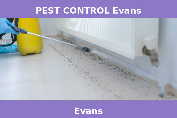 PEST CONTROL Evans